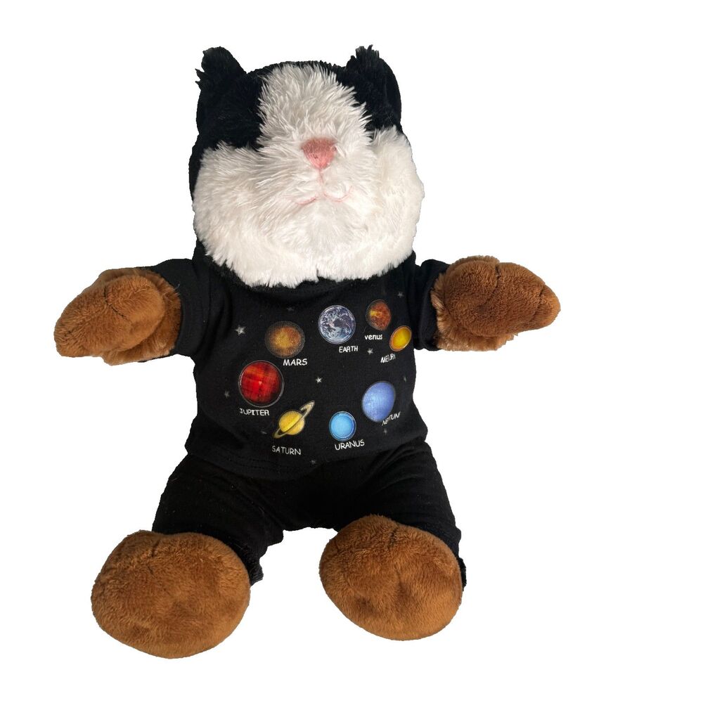 Build-A-Bear Guinea Pig RARE Plush 12" BWN/BLK?WHT w/ Planets Shirt & Lace Pant